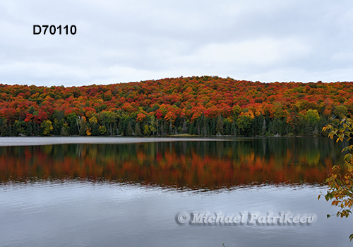 Algonquin Provincial Park, Ontario